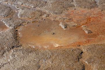 A close shot of puddle in the middle of Nisqually river estuary in the Billy Frank Jr. Nisqually National Wildlife Refuge, WA, USA