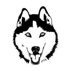 Husky isolated on white background. Stencil. Dog silhouette. © Elala 9161