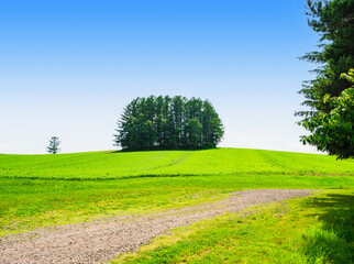 Obraz premium 夏の北海道 美瑛