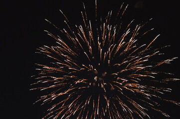 fireworks in the night sky