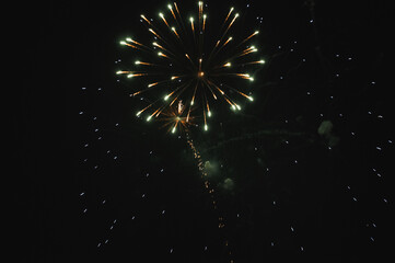 fireworks in the night sky