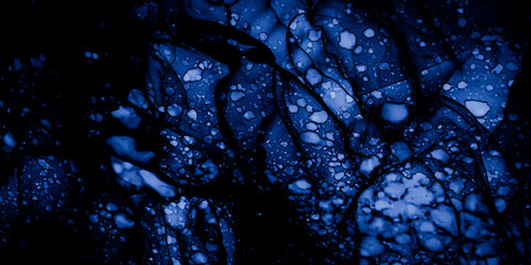 Oil Paints Art. Indigo Watercolor Background. Oil Painting On Ca