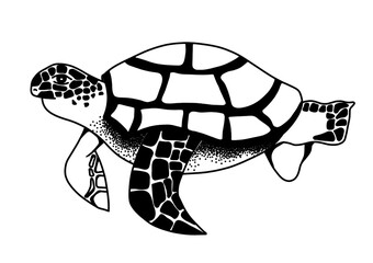 turtl, art, draw, animal, sea animal, cartoon,black and white, line, icon, beautiful,beautiful turtle, sea ​​world, sea ​​dwellers, cartoon characters ,pattern