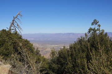 Mount Lemmon, AZ