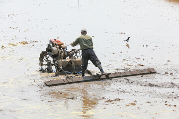 farmers level the land in paddy fields to prepare for transplanting rice seedlings, North China