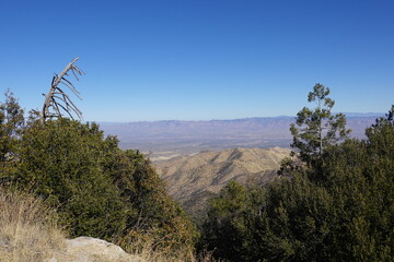 Mount Lemmon, AZ