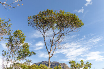 natural viewpoint of Vale do Pati, Chapada Diamantina, State of Bahia, Brazil