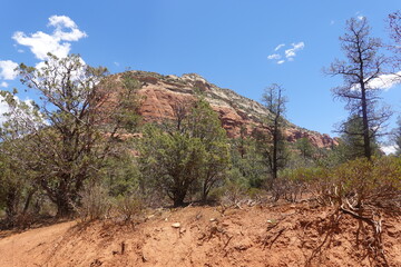 Devil's Bridge, Sedona, AZ