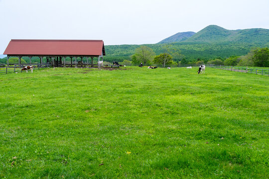 「牧舎」の画像 58,076 件の Stock 写真、ベクターおよびビデオ Adobe Stock