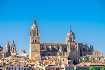 Fototapeta na wymiar Espectacular vista de la Catedral de Salamanca, una de las más importantes de España