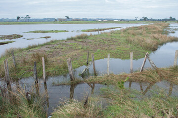 Puerto Saavedra - Araucan&iacute;a - Chile