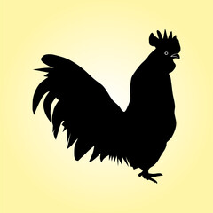 Fototapeta na wymiar Chicken vector illustration with silhouette. Isolated on white background. 