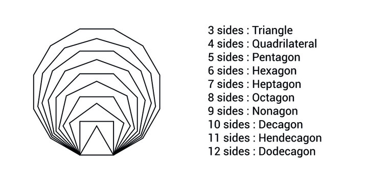 types of regular polygons. polygons with equal sides and angles. Triangle, quadrilateral, pentagon, hexagon, heptagon, octagon, nonagon, decagon, hendecagon, dodecagon vector illustration.