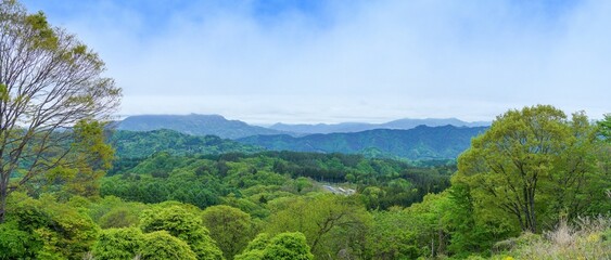 新緑に包まれた大峰高原のパノラマ情景＠長野