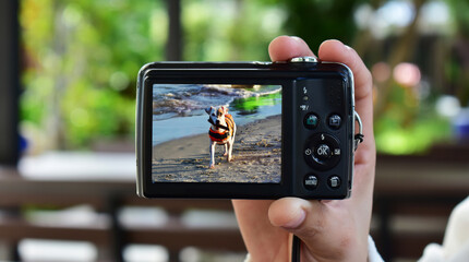 Camera for professionals