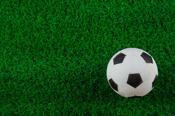 Fototapeta premium A soccer ball stands on green grass. Closeup.