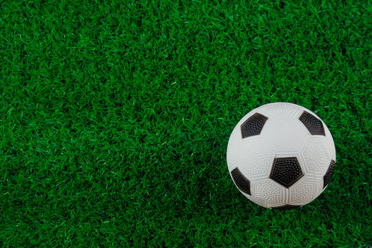 A soccer ball stands on green grass. Closeup.