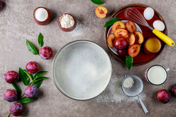 Using eggs, whisk, plum, and a baking pan are used in the baking process. Making plum pie.