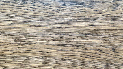 Rustic Wood Texture - Banner Background
