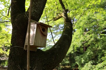 Japanese summer birdhouse.