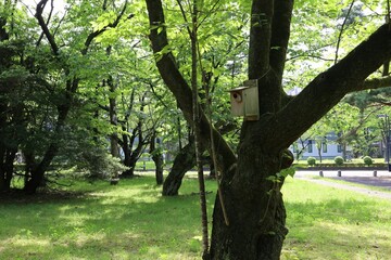 Japanese summer birdhouse.