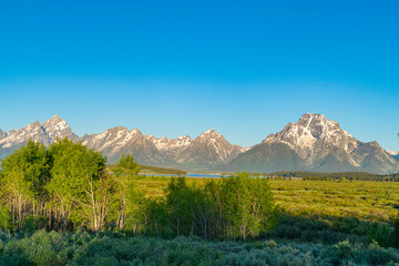 landscape of snow mountain and forest 