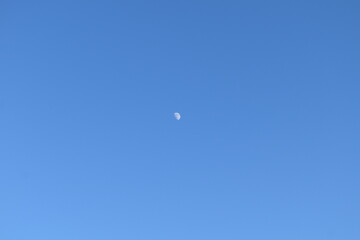 Moon in a Blue Sky