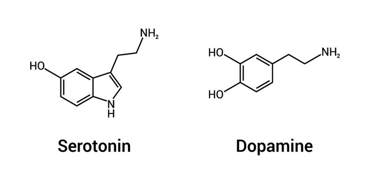 chemical structure of serotonin and dopamine