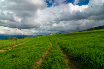 green grass with sunny cloud view and house