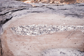 Fosiles en Patagonia