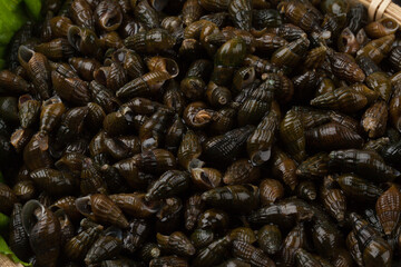 다슬기, clam, 고등, 다슬기알, 음식, 올갱이,음식,음식재료