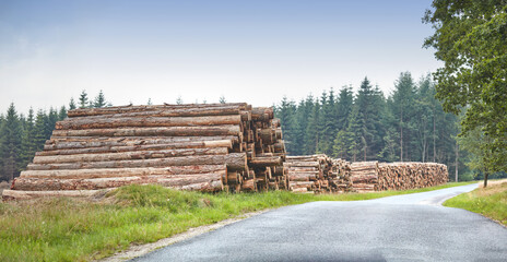 Fototapeta na wymiar Chopped tree logs stacked in a forest along a road with copyspace. Rustic landscape with stumps of firewood, timber and hardwood material collected for the lumber industry. Deforestation in the woods
