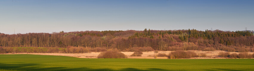 Landscape of forest trees growing in a quiet meadow or remote countryside in Sweden. View of coniferous woods in rural area, environmental nature conservation or field with blue sky and copy space