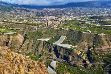 Above landscape view of growing banana plantation field in Los Llanos, La Palma, Spain. Scenic aerial of agriculture farms outside busy city. Farming fresh and nutritious vitamin fruit in countryside