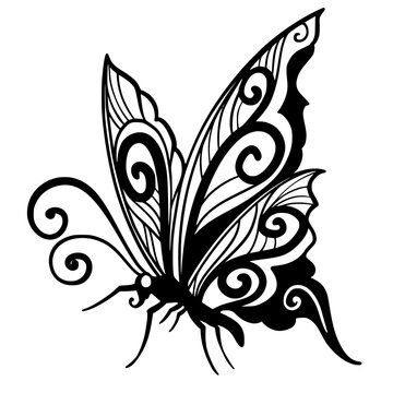 Butterfly doodle, Butterfly zentangle