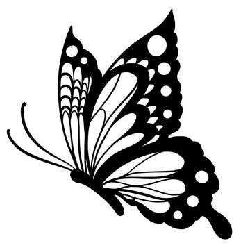Butterfly Flower Images – Browse 14,816 Stock Photos, Vectors
