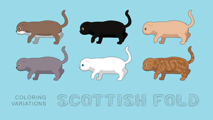 Cat Scottish Fold Coloring Variations Vector Illustration