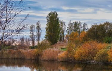 Colorful autumn forest trees by a river. Beautiful nature landscape of a lake with calm water near lush tree foliage and bushes. Biodiverse forestry with bright yellow, orange and green color leaves