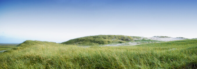 Copyspace with green grass growing on an empty beach or dune against a blue sky background. Scenic...