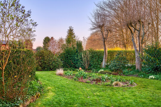 Landscape view of cultivated garden in serene, peaceful private or secluded backyard at home. Neat, calm and freshly mowed green lawn and grass. Serene, tranquil scenic nature yard to relax on break