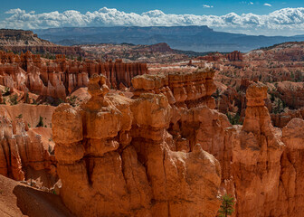 671-118 Bryce Canyon Hoodoos