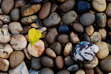 gravel placed on the ground in the park