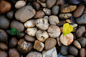 gravel placed on the ground in the park