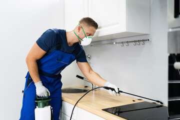 Pest Control Worker Spraying Insecticide