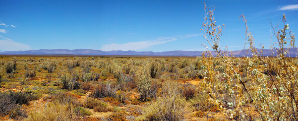 Dry highland savanna on a sunny day in South Africa with a copyspace and sky background. An empty...