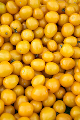 Yellow tomato background.Group of fresh tomatoes. High quality photo