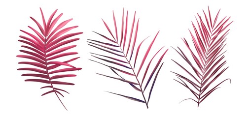 Fototapeta na wymiar A set of tropical leaves. Watercolor realistic palm leaves.
