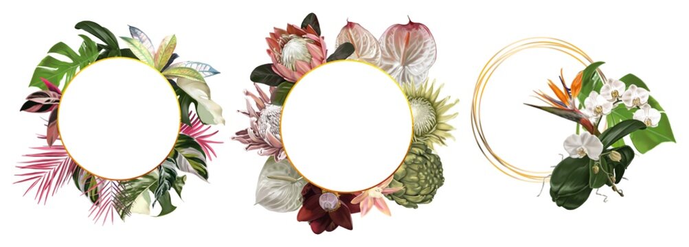 A set of tropical frames. Parrots. Realistic illustration of tropical flowers and leaves.