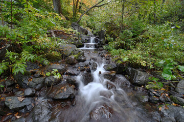 Obraz premium 秋の渓流（北海道・知床） 