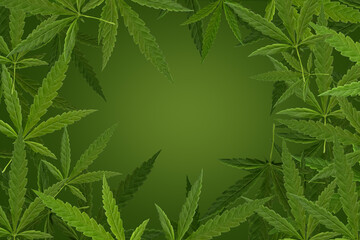 Marijuana leaf, Green color background. Decorate for ad, poster, template print, artwork